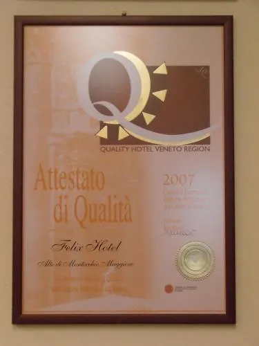 Felix Hotel Montecchio Maggiore 3*,